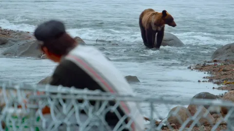 The island where humans live with bears