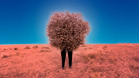 The iconic tumbleweed's invasive origin