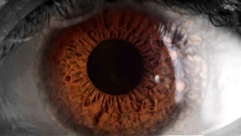 What does coffee do to your body?