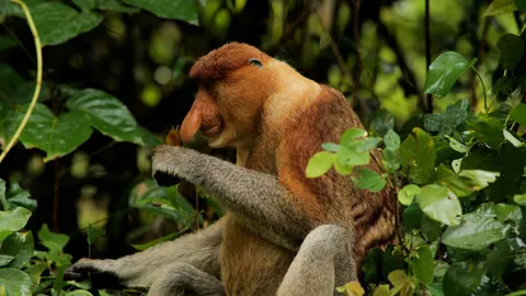 An 11-mile hike crosses seven habitats