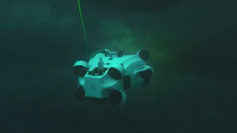 An underwater robot in action