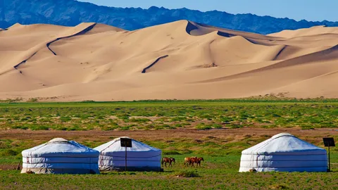 Life as a traditional nomad in Mongolia