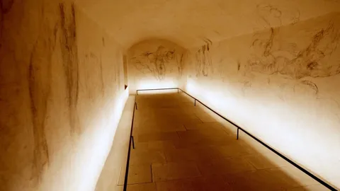 Inside Michelangelo's 'secret room'