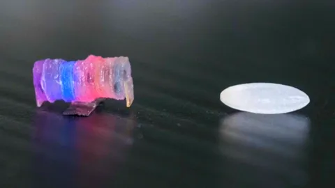 Robots the size of a grain of rice