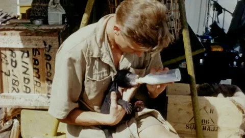 Attenborough's first film in colour