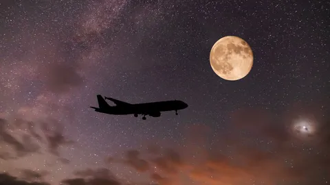 Why are we scared of flying on planes?