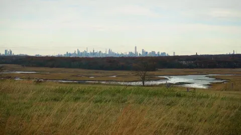 The park that turned waste into wonder