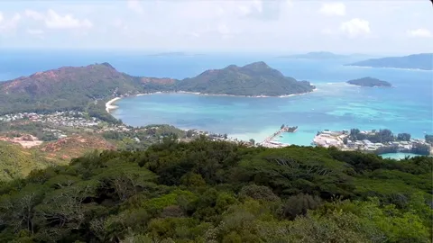 The largest seed in the plant kingdom