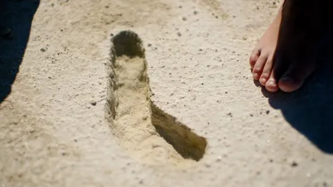 A mother's fossilised footprints