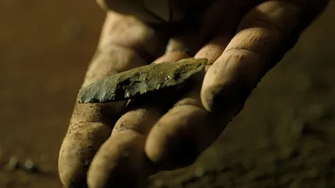 How humans hunted Ice Age predators