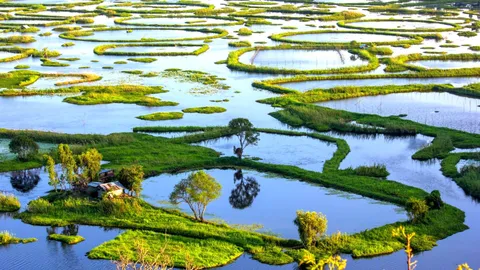 The world's only floating national park