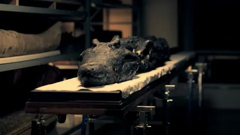 Animal gods signaled Egypt's downfall