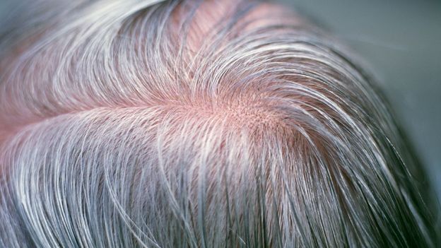 Is Quarantine Stress Causing Your Hair to Turn Gray? - Gray Hair Guide,  Causes, Transition