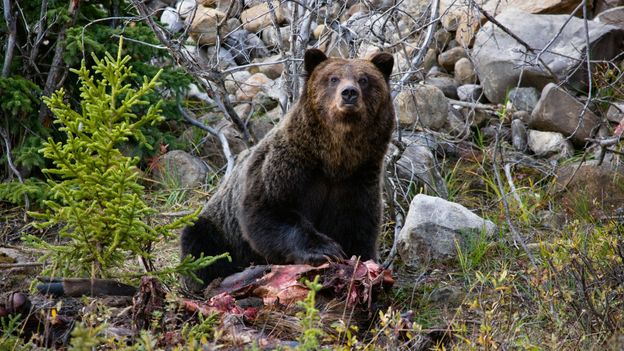 BBC - Travel - British Columbia’s best-kept secret