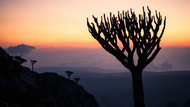 Stepping back in time in Socotra