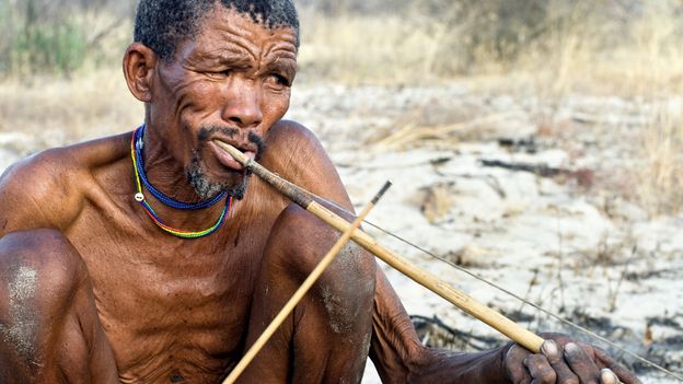 c Earth Did Early Humans Or Even Animals Invent Music