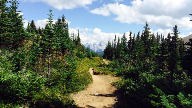 Bbc Travel Hiking To The Top Of Jasper National Park