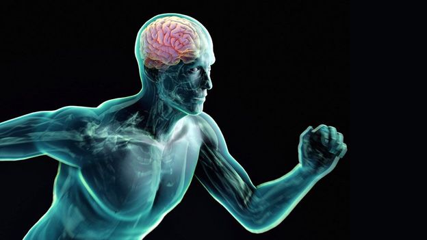 Brain: Why exercise boosts IQ