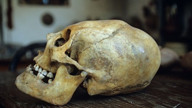 c Earth Why Early Humans Reshaped Their Children S Skulls