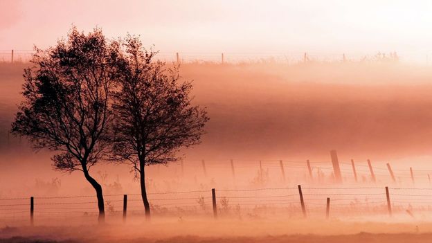 Bbc Earth Misty Morning Photo Of The Day