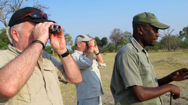 BBC - Travel - The first rule in tracking lions: No running