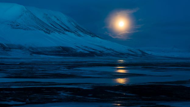 Bbc Earth The Icy Majesty Of The Svalbard Archipelago 