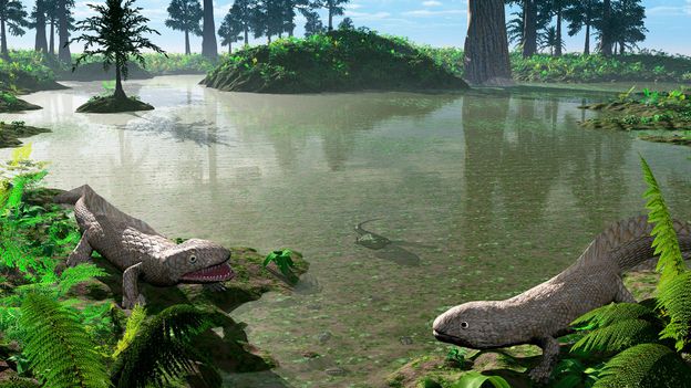 What Do Scientists Think Caused The Devonian Extinction