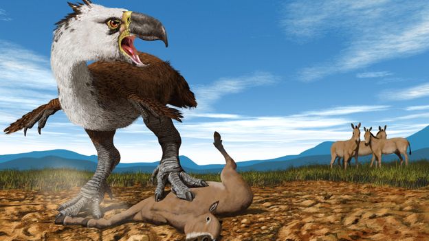 Bbc Earth The Reign Of The Terror Birds - roblox animal games cenozoic survival wild savanna era of terror youtube