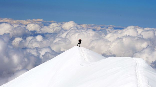 Why only some are born explorers