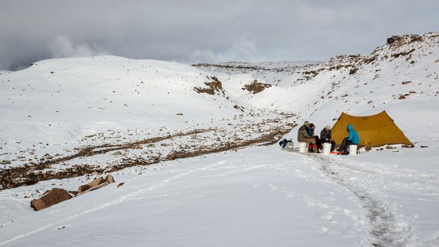 Bbc Earth The Island Surrounded By Ice That Holds Earth S Secrets