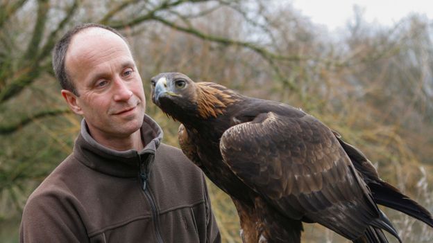 BBC - Earth - Falconry with a wild twist