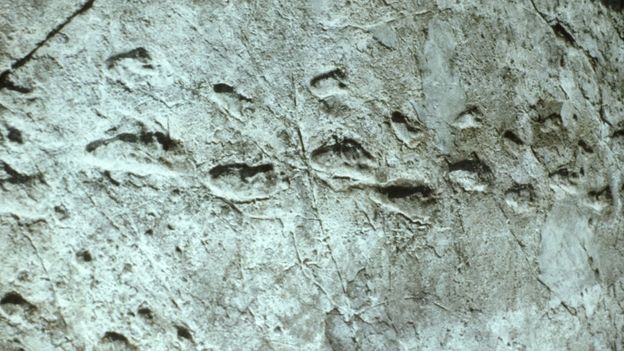 BBC - Earth - The footprints of the dead have revealed new secrets