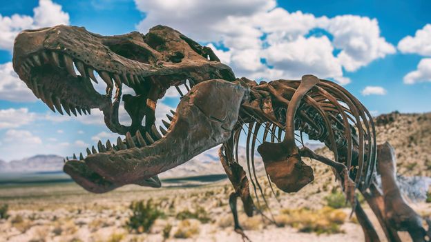 c Earth Meet Nanotyrannus The Dinosaur That Never Really Existed