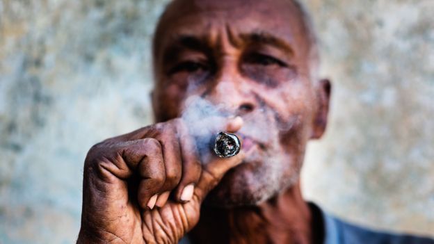 The most coveted cigars will never be smoked. Here’s why