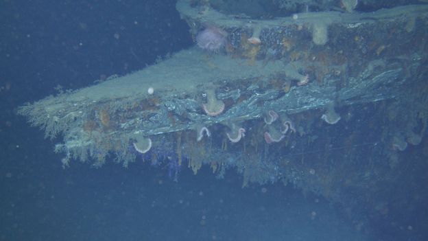 BBC - Earth - The wreck of the Titanic is being eaten and may soon vanish