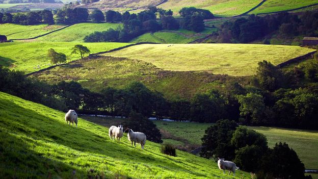 BBC - Travel - Yorkshire