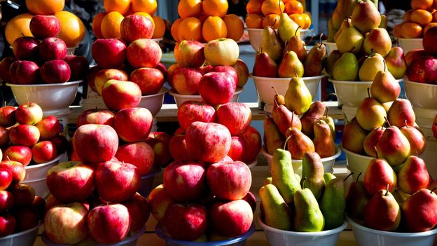 When a Russian scientist identified the Malus sieversii as the progenitor of the domestic apple, harvests in Kazakhstan’s forests were bountiful; no