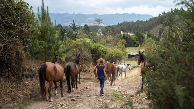 Colombia’s indomitable ‘horse whisperer’