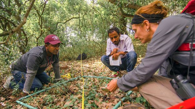 Dr Catherine Cardelús and her team have determined that shadow conservation works in Ethiopia (Credit: Credit: Sarah Hewitt)