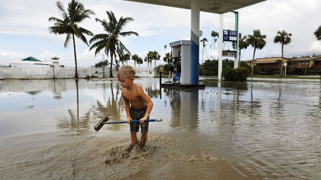 The animals that will survive climate change