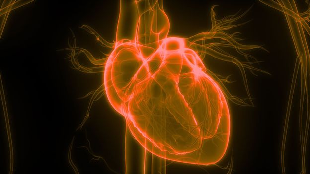 How hacking the human heart could replace pill popping - BBC Future