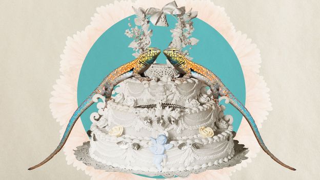 How game theory can help to give your love life a boost - BBC Future