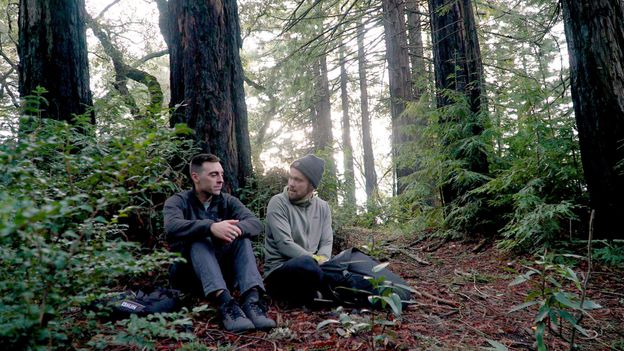 The 'psychedelics coach' with drug-fuelled career advice - BBC Worklife