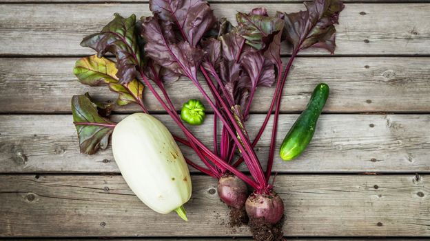 Victory gardens: A war-time hobby that’s back in fashion