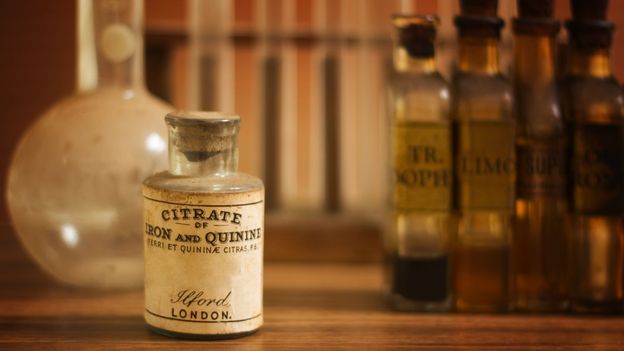 BBC - Travel - The tree that changed the world map