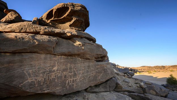 Giraffes, gazelles, ostriches and other animals that have not lived near Sabu for thousands of years are etched into the rocks Giraffes, gazelles, ostriches and other animals that have not lived near Sabu for thousands of years are etched into the rocks