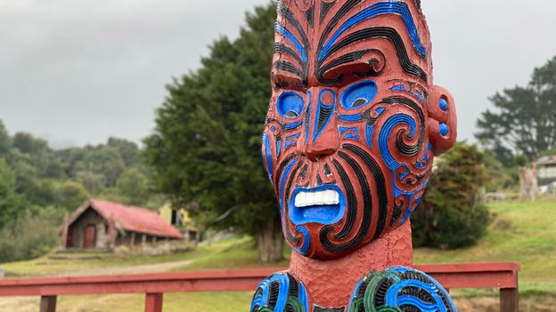 c Travel The Maori Tribe Protecting New Zealand S Sacred Rainforest