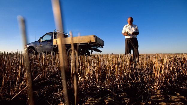 Leonard Casley was a wheat farmer, and Hutt River’s history is firmly rooted in agriculture (Credit: Hemis/Alamy) Leonard Casley was a wheat farmer, and Hutt River’s history is firmly rooted in agriculture (Credit: Hemis/Alamy)