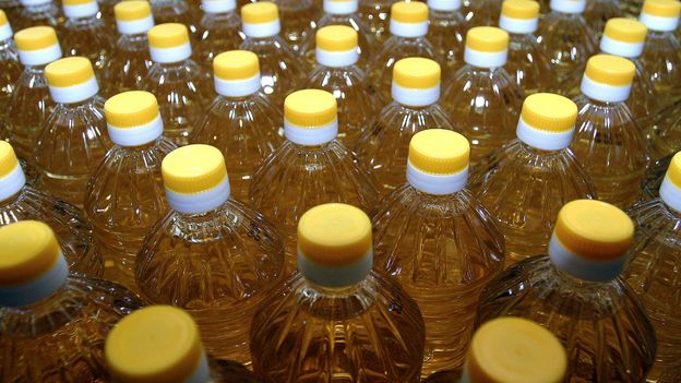 Which cooking oil is the healthiest?