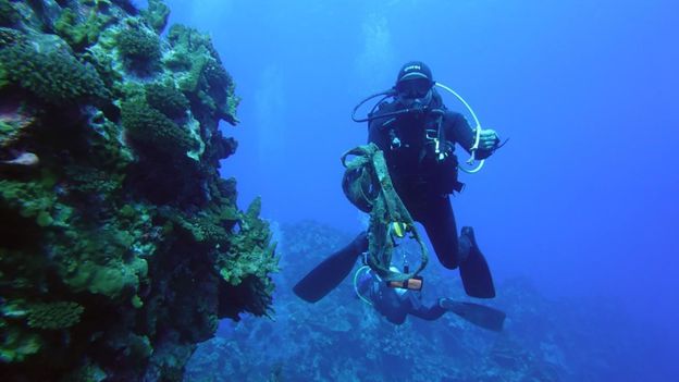 Local divers are undertaking a seabed restoration project on Easter Island (Credit: Credit: Municipalidad de Rapa Nui)